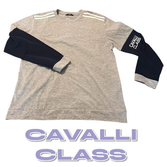 Cavalli Class Mens Pullover Long Sleeve Creed Neck 💯% Cotton Blue-Gray NWOT $210 - Picture 1 of 7
